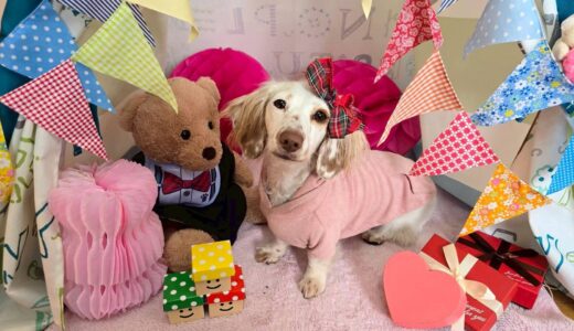 幼稚園生　幸芽ちゃん