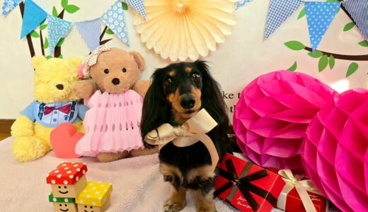 幼稚園生　ノアくん