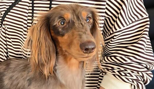 個別レッスン　アルくん