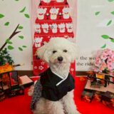 幼稚園生　クッキーくん