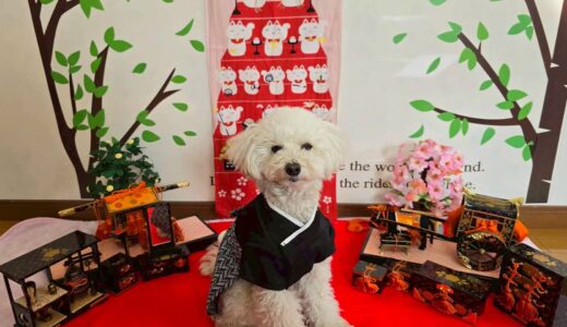 幼稚園生　クッキーくん