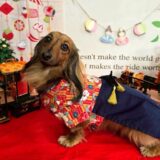 幼稚園生　ナッツちゃん