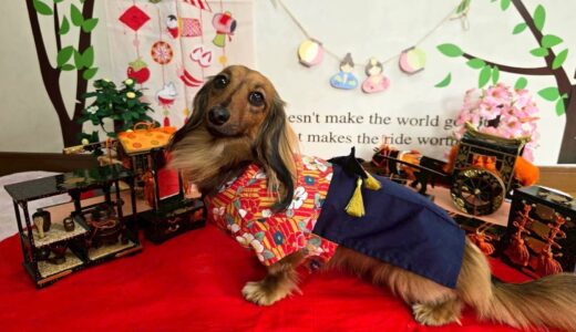 幼稚園生　ナッツちゃん