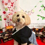 幼稚園生　トイくん