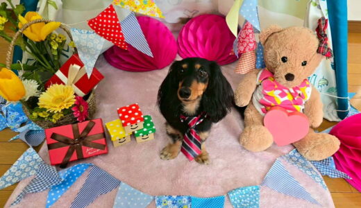 幼稚園生　ノアくん