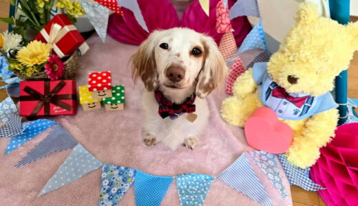 幼稚園生　幸芽ちゃん