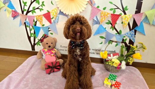 幼稚園生　エレンくん