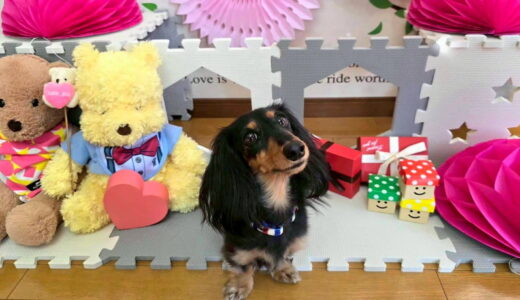 幼稚園生　ノアくん