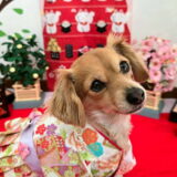 幼稚園生 ジェニファーちゃん　3days