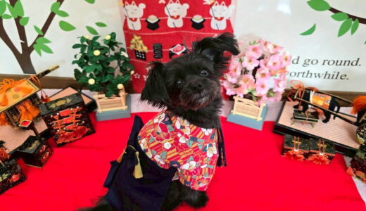 幼稚園生　ヒナちゃん