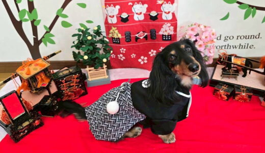 幼稚園生　ノアくん