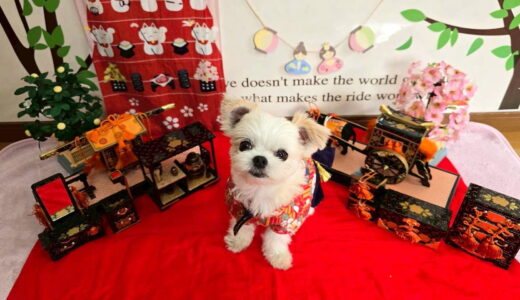 幼稚園生　リーナベルちゃん