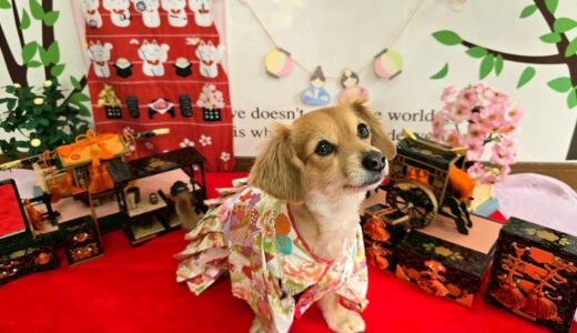 幼稚園生　ジェニファーちゃん