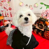 幼稚園生　ルイくん