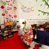 幼稚園生　幸芽ちゃん