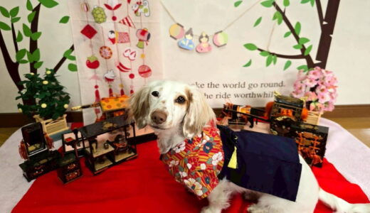 幼稚園生　幸芽ちゃん