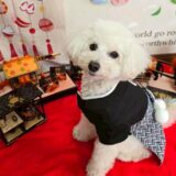 幼稚園生　クッキーくん