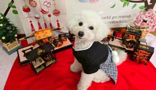 幼稚園生　クッキーくん