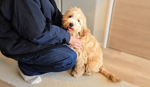 個別レッスン　ぽんたくん