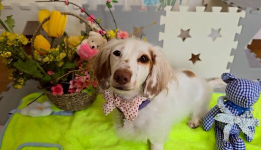 幼稚園生　幸芽ちゃん